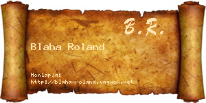 Blaha Roland névjegykártya